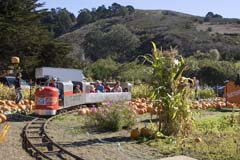 Train and pumpkins